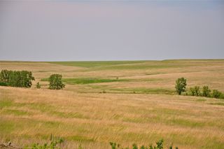 north american prairie, ecosystems
