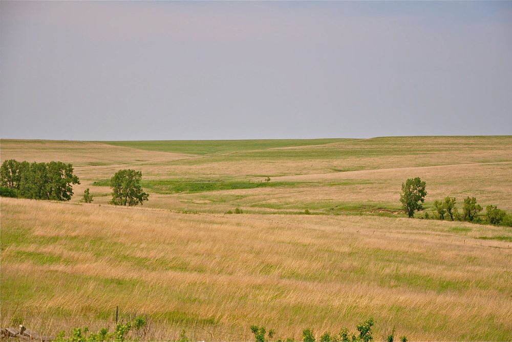 Tallgrass Prairie Ecosystem Images North American Prairies Live Science