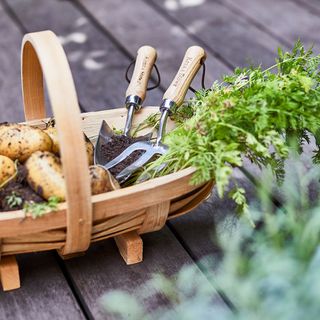 vegetable basket with gardening tools and vegetables