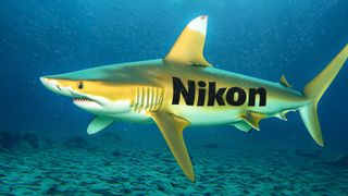 A yellow shark, underwater, with the Nikon logo on its side