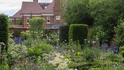 A parterre in a Victorian walled garden, a formal arrangement of differently shaped, box edged beds: planted with roses, alliums, mallows, phloxes, lychnis, veronicastrum, toadflaxes and giant scabious. Imposing yew columns add permanent structure.