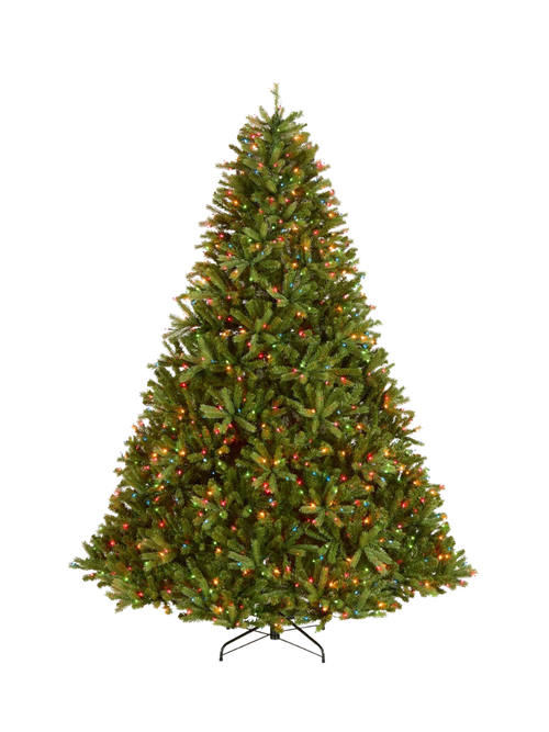 5' Pre-Lit Jersey Fraser Fir Tree With Multicolor Lights