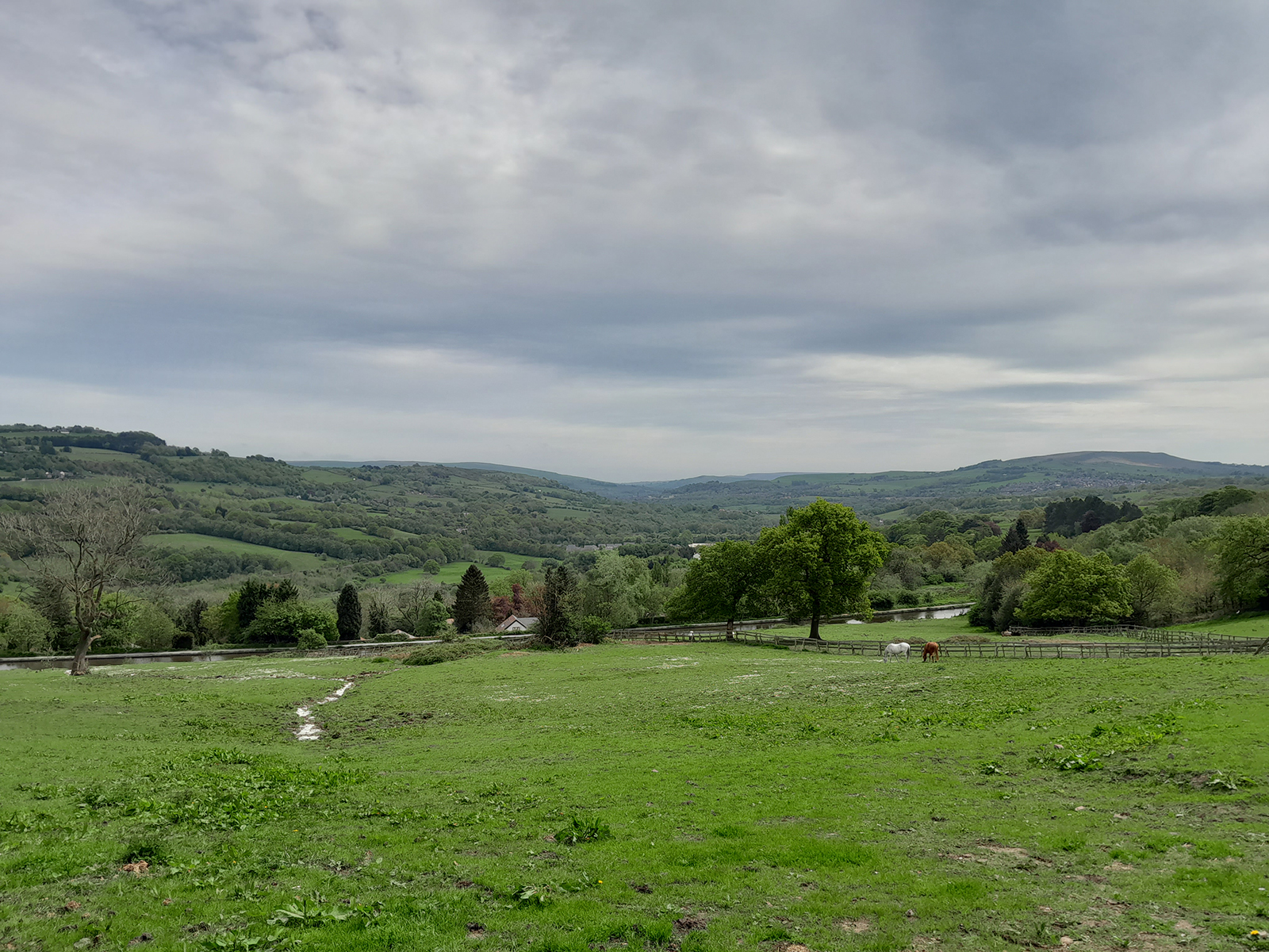 Samsung Galaxy A13 camera sample showing a field and hills (normal mode) in the day