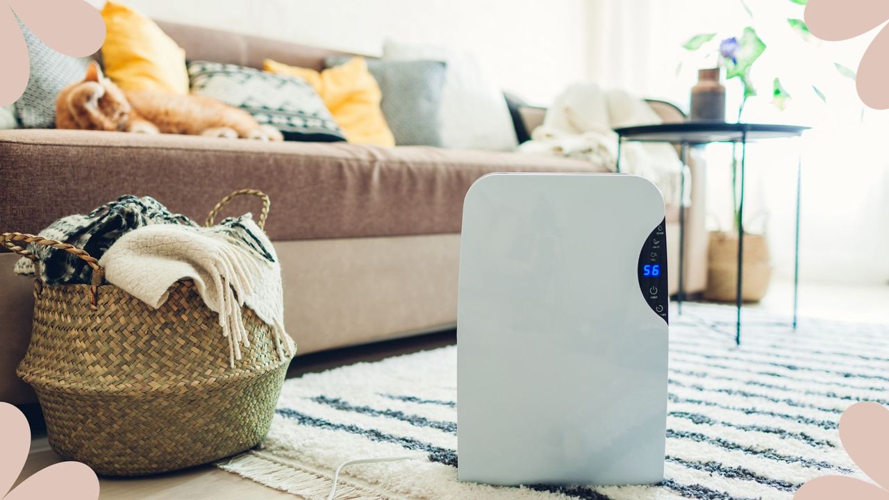 A dehumidifier on a rug in a living room for a guide on should you buy a dehumidifier for winter