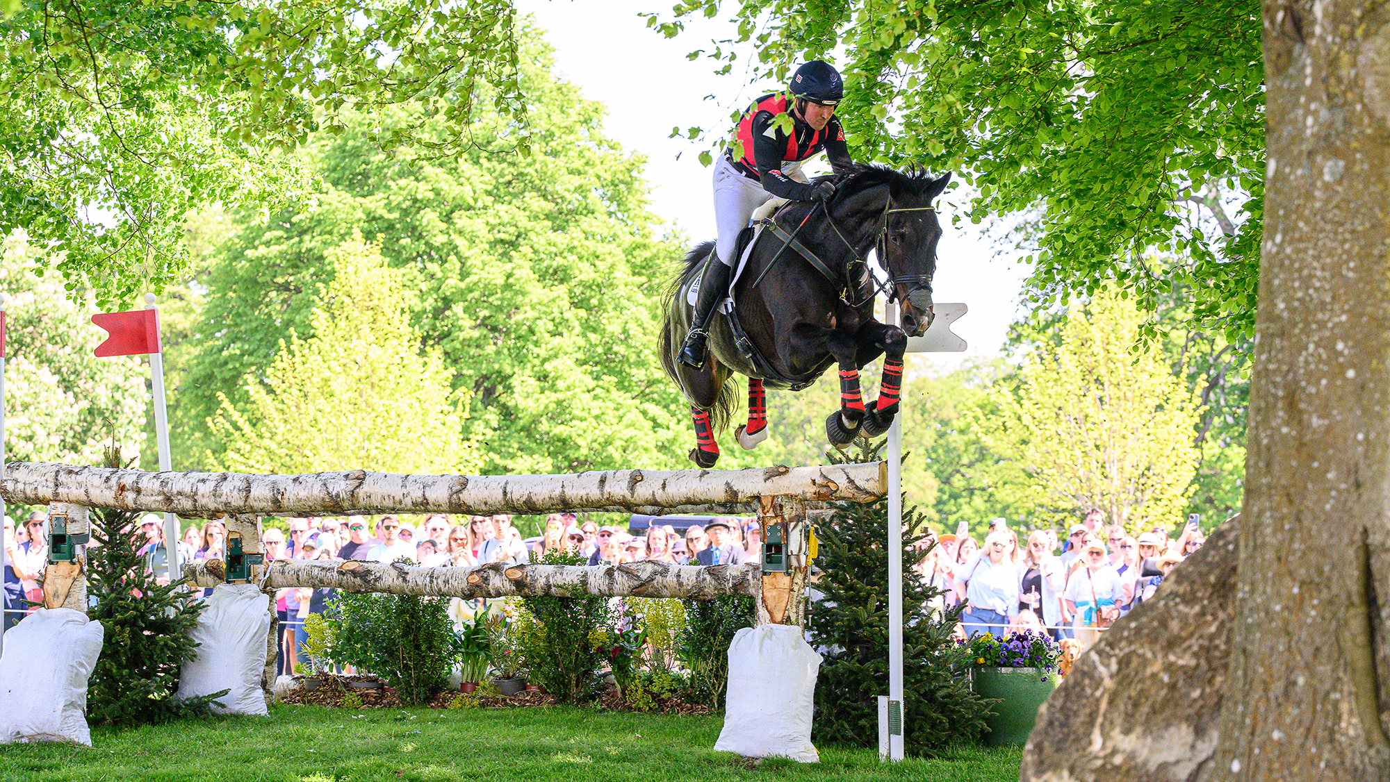David Doel and Galileo Nieuwmoed jump a cross-country fence under trees at Badminton in 2025.