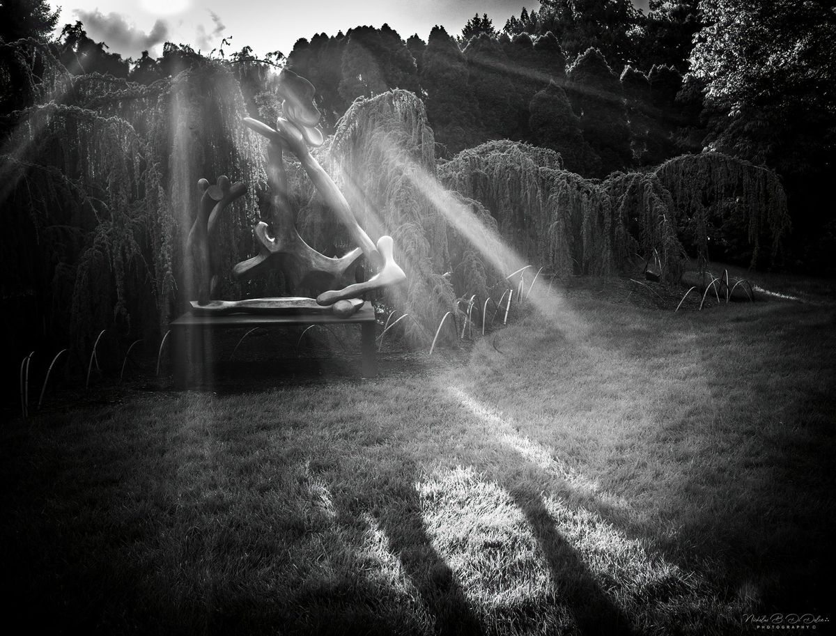 GuruShots - Powerful Black &amp; White Jan 26