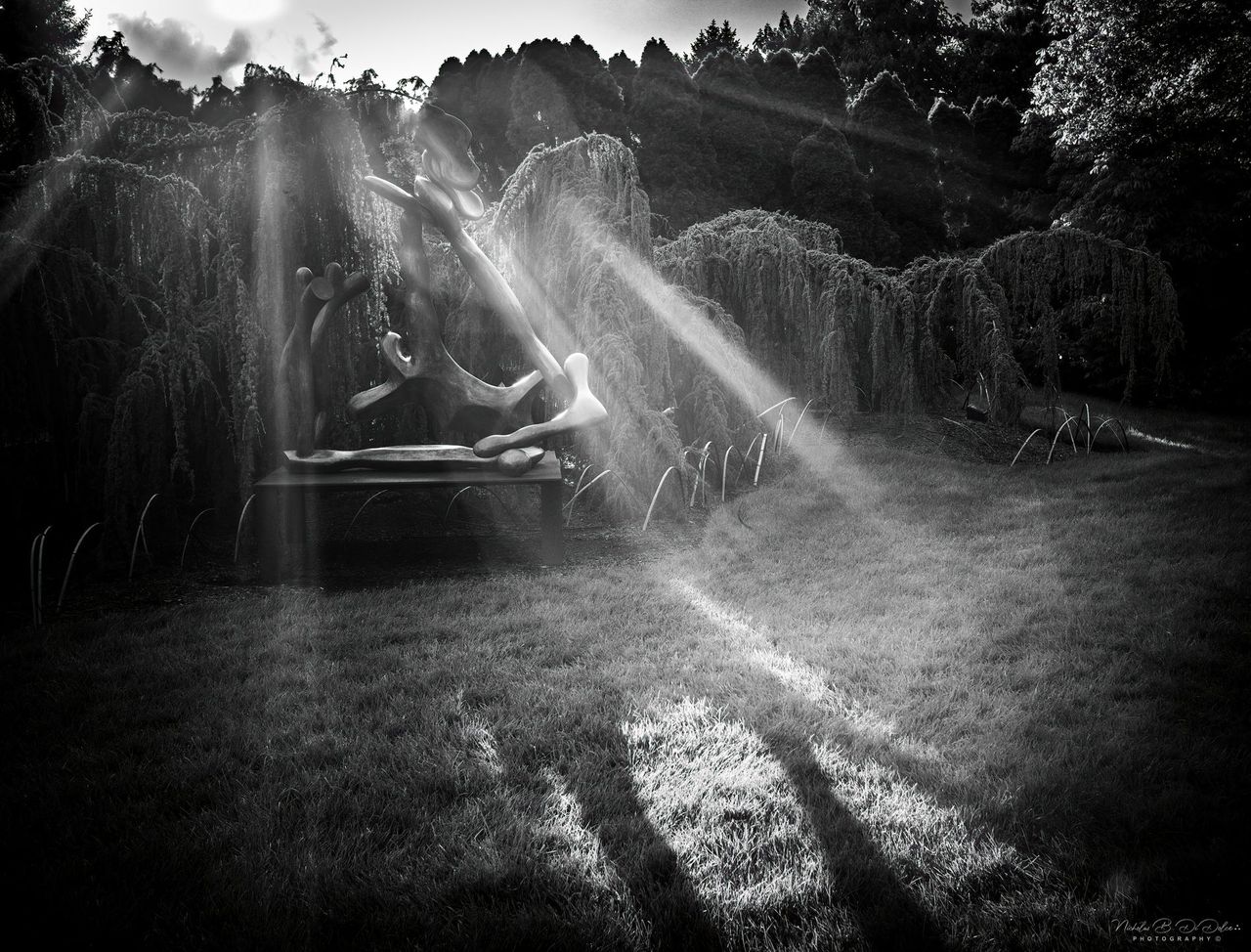 GuruShots - Powerful Black &amp; White Jan 26