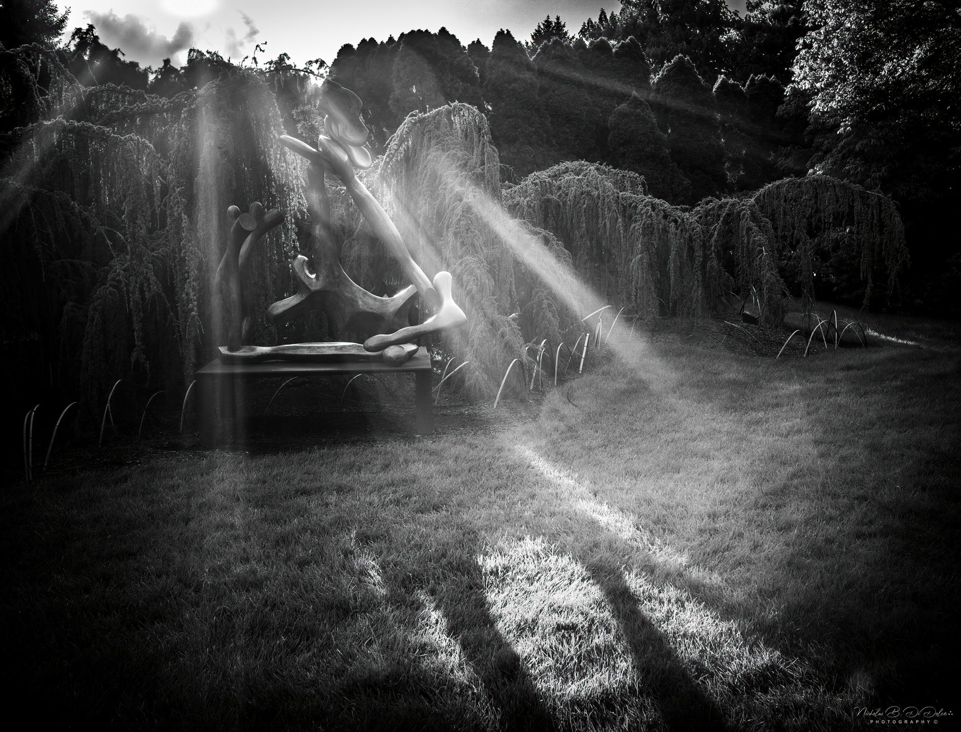 GuruShots - Powerful Black & White Jan 26