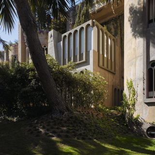 cream colour building and garden with coconut trees