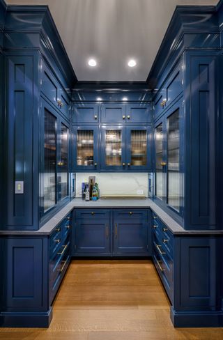A blue toned pantry with glossy paint finish