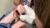 Fitbit Ace 2