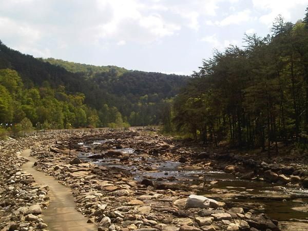 A river at the Cohutta 100