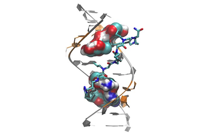 Genetic changes causing myotonic dystrophy type 2