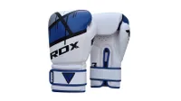 RDX Ego Boxing Gloves on white background