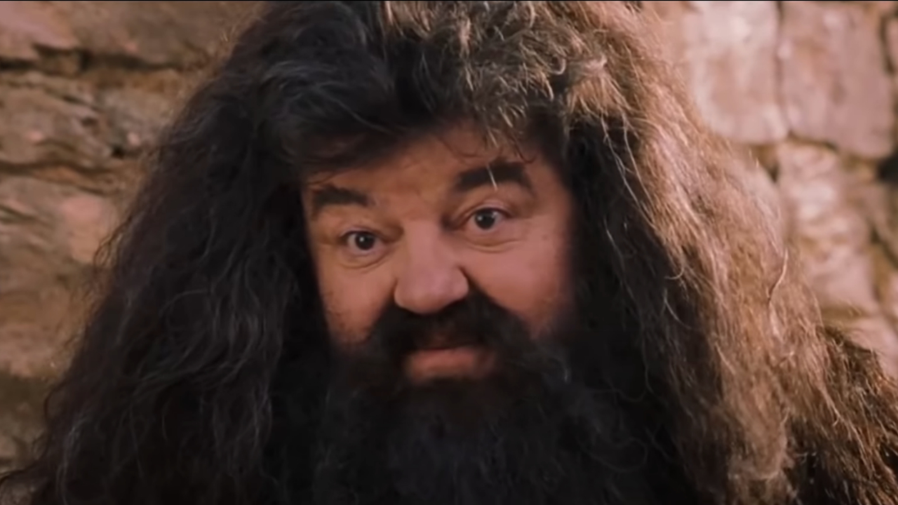 Robbie Coltrane smiles knowingly as Hagrid in Harry Potter and the Sorcerer's Stone