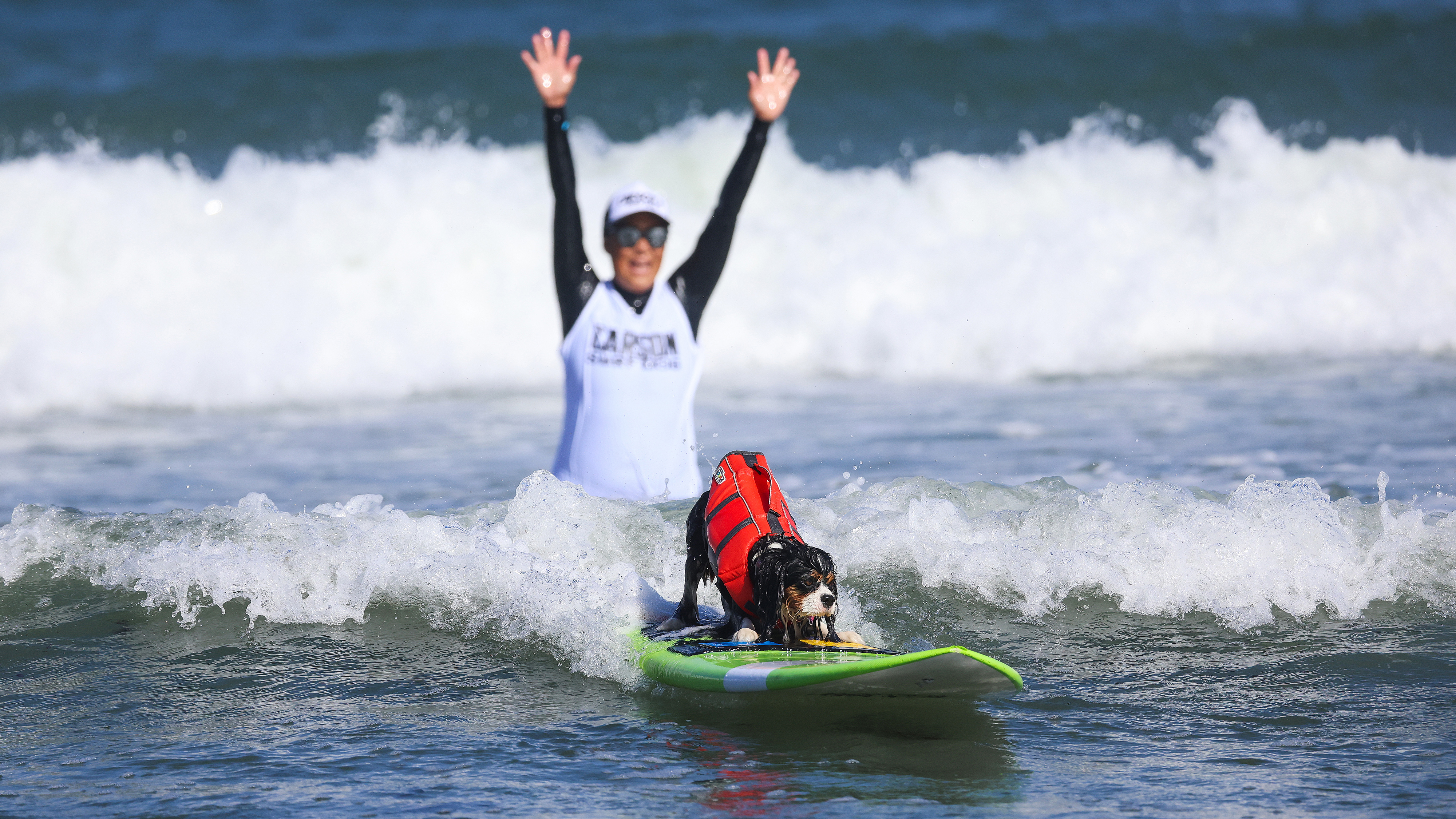 PACIFICA, CALIFORNIA - AUGUST 01: A dog competes in the World Dog Surfing Championships on August 01, 2026 in Pacifica, California. Over a dozen dogs competed in several categories on Saturday including surfing, stand-up paddle boarding and tandem surfs. (Photo by Heather Diehl/Getty Images)