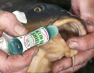 fish mouth treatment