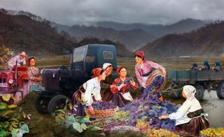 Harvest Time, North Korea, 2013