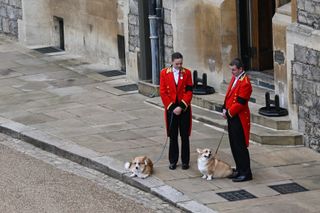 The Queen's corgis, Muick and Sandy, at Windsor Castle on September 19, 2022.