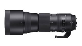 Best lenses for the Nikon D5600: Sigma 150-600mm f/5-6.3 DG OS HSM C