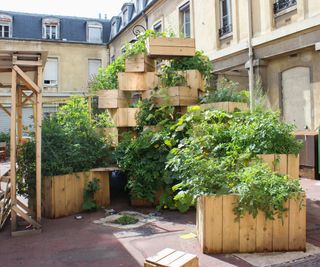 vertical garden of plants in city space