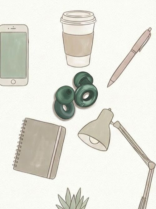 Switch 2 Adjustable Ear Plugs