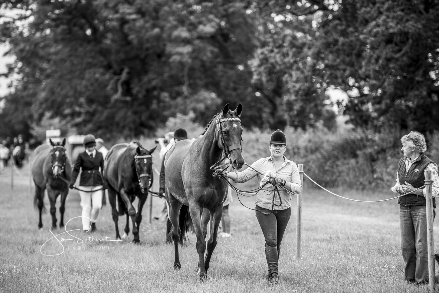 COPYRIGHT-JO-SUTHERST-Moon-Racer-07-07-19-Hanbury-Show-e1565867460121.jpg