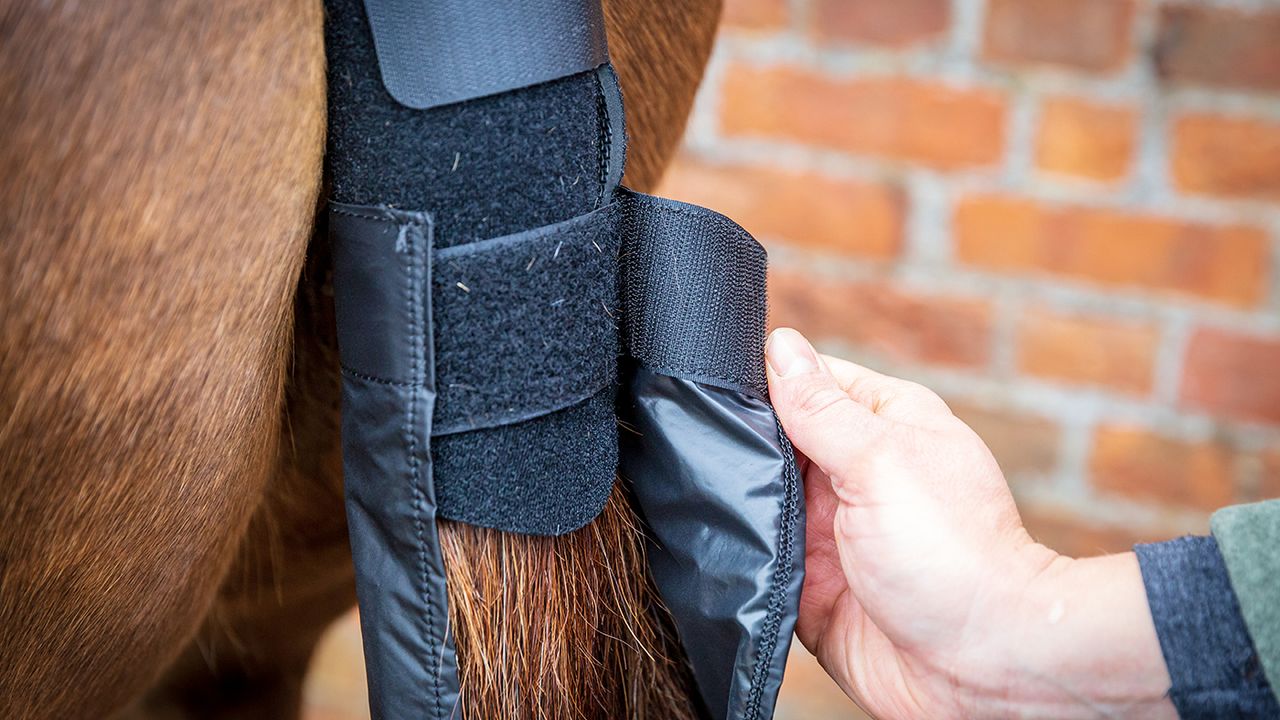 Shires Arma tail guard with detachable tail bag