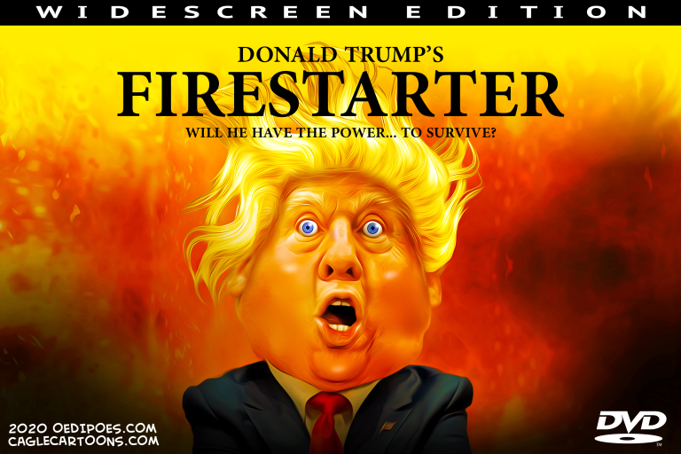 7 scathing cartoons about Trump's divisive Kenosha response | The Week