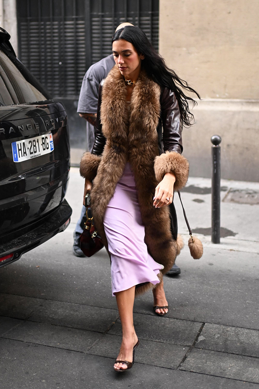 Dua Lipa wore a chocolate brown leather and fur coat with a light pink dress