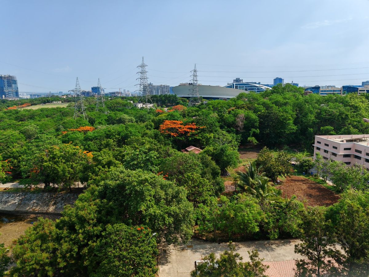 Honor Magic 5 Pro camera shots