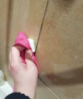 put dishwasher tablet in shower