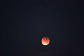 Kendra Lakkees took this photo of the December 2011 total lunar eclipse.