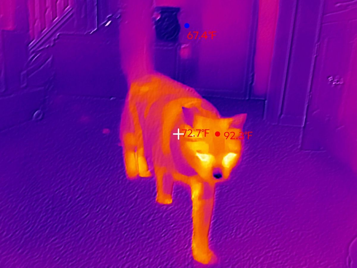 Thermal Master P4 sample.