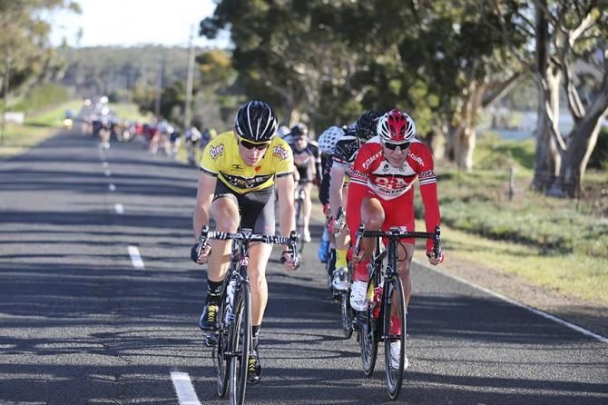 Michael Vink (Budget Forklifts) leads the long line of the peloton early on.