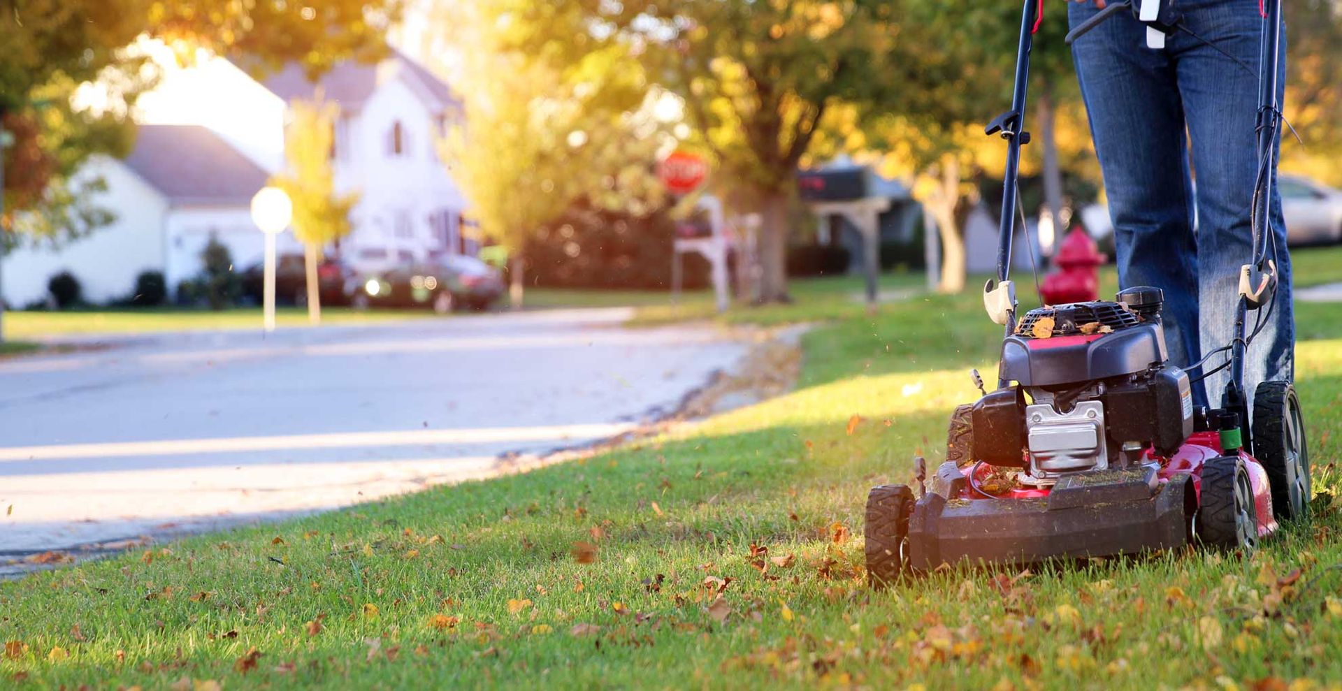 Person mowing the front lawn knowing when to first cut grass after winter