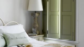Olive green shutter in a traditional living room