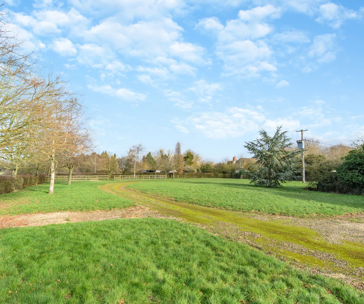 An expansive lawn and driveway