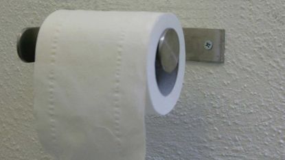 A toilet roll 