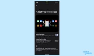 pixel 6 features to enable: adaptive battery