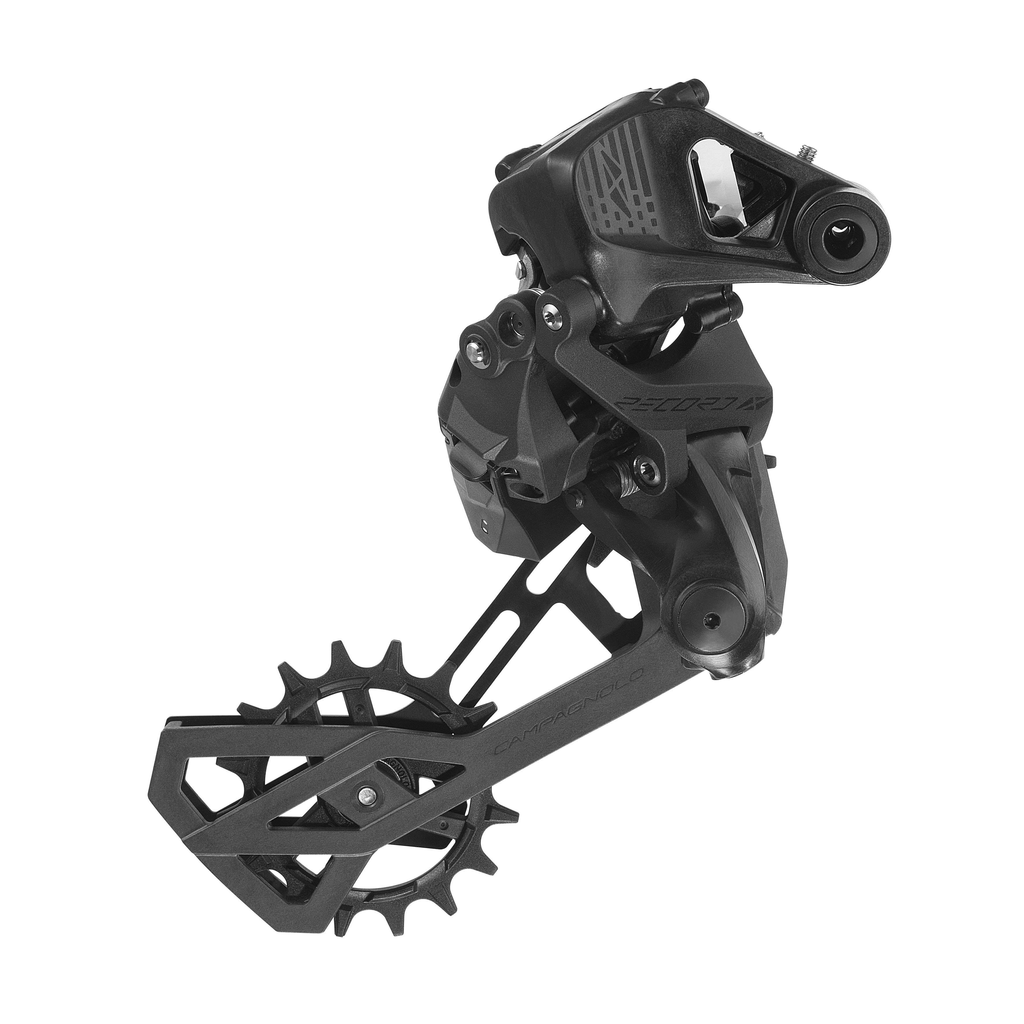 A Campagnolo Record rear mech 