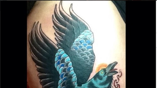 Wing, Bird, Teal, Aqua, Feather, Art, Turquoise, Beak, Painting, Visual arts,