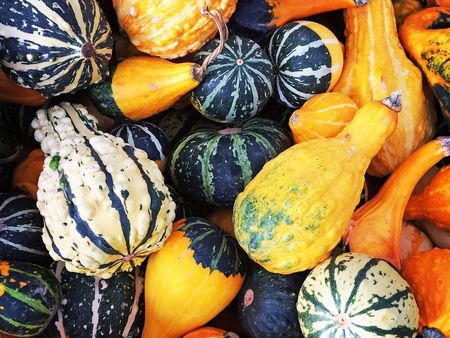 Pile Of Decorative Gourds