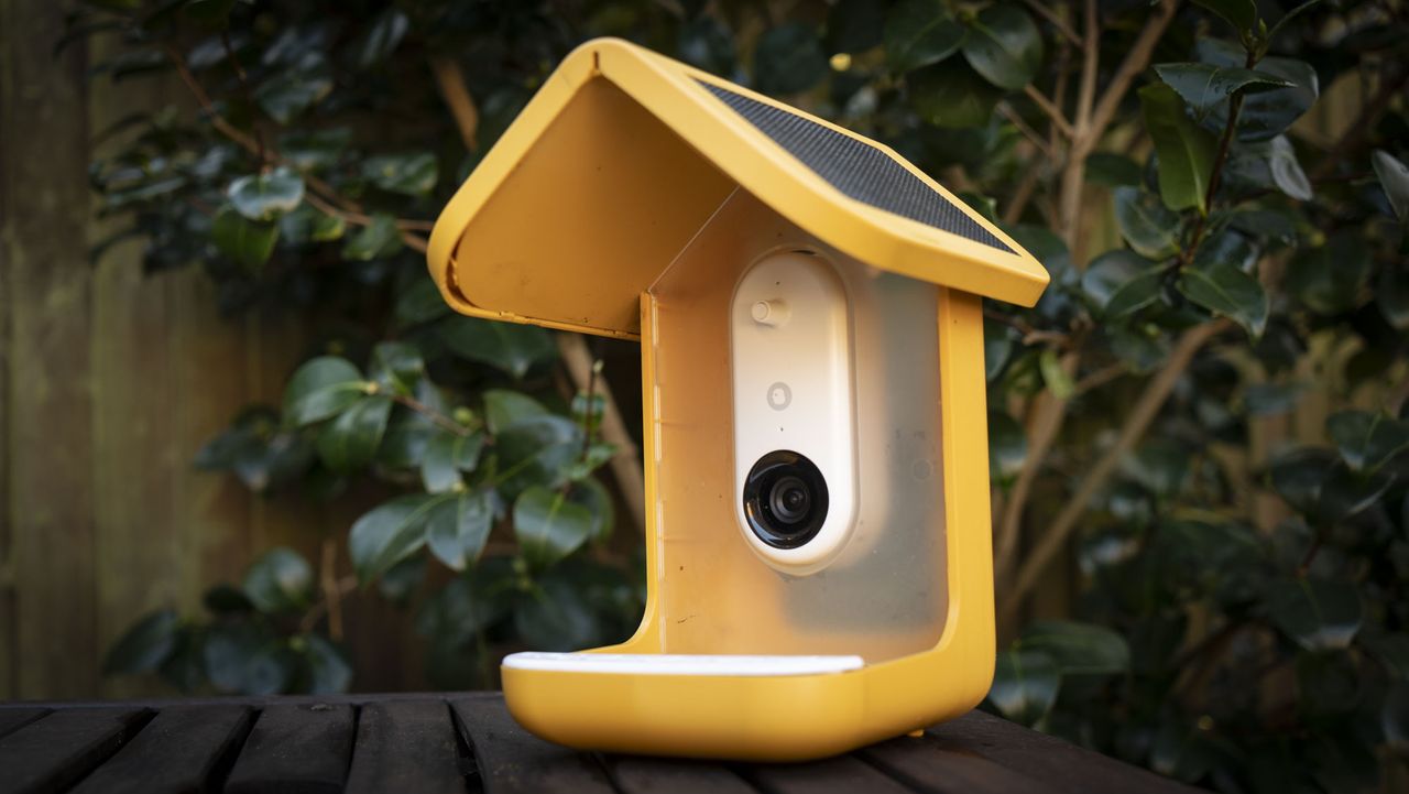 Bird Buddy smart Bird Feeder Pro