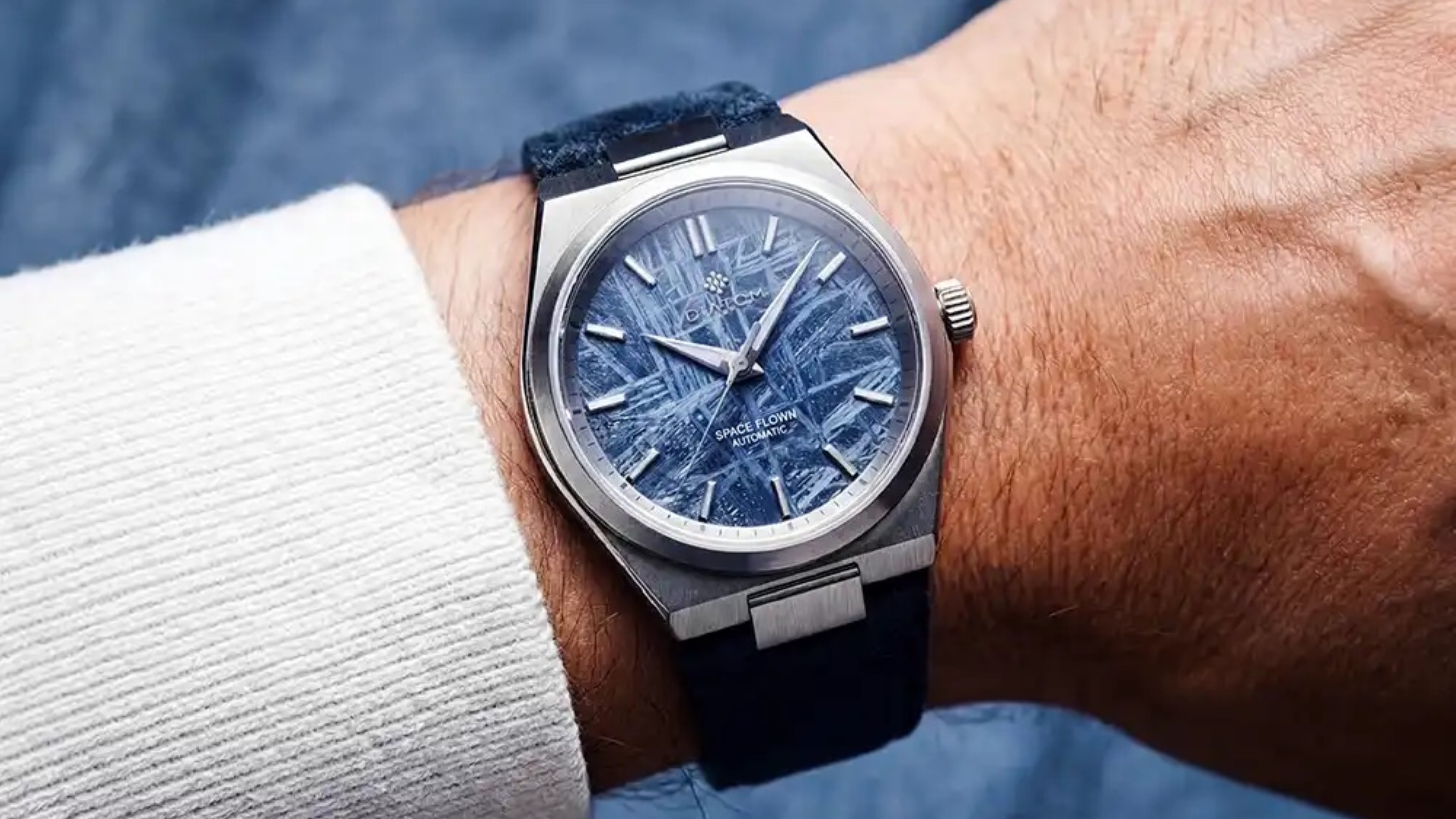 Diatom Watches Terra Meteorite