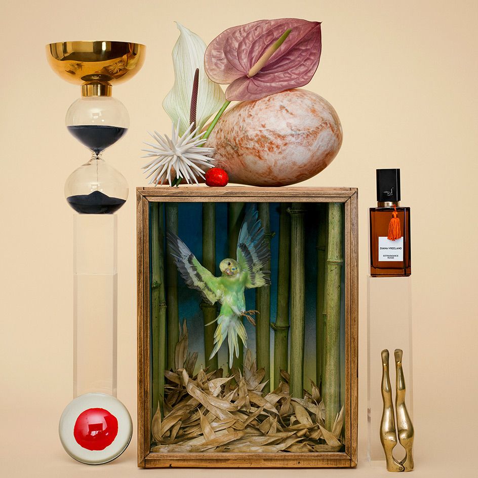 Inez and Vinoodh create striking imagery for Diana Vreeland | Wallpaper