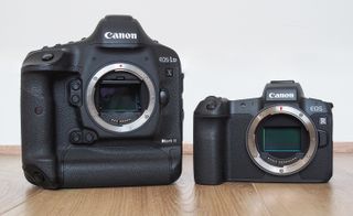 Will the Canon EOS-1D X Mark III still be a DSLR, or will it take the sleek mirrorless form of the Canon EOS R?