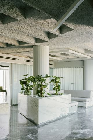 concrete, marble and plants in athens workspace