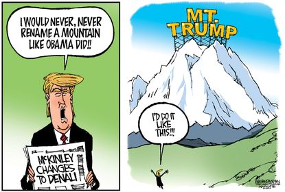 Political cartoon Trump Denali