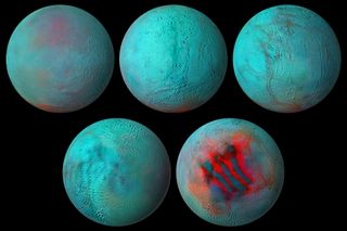 This global infrared mosaic of Enceladus, one of Saturn's moons, was made using data from the Cassini spacecraft, which orbited Saturn from 2004 to 2017. This image shows five different infrared views of Enceladus, the moon's Saturn-facing side, its trailing side and its North and South pole.